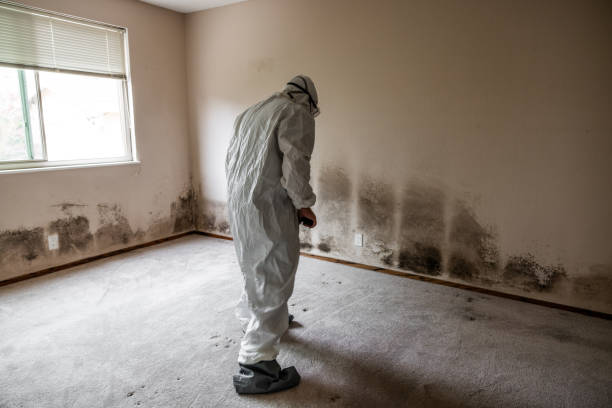 Best Residential Mold Removal  in Orida Gulf Coast University, FL